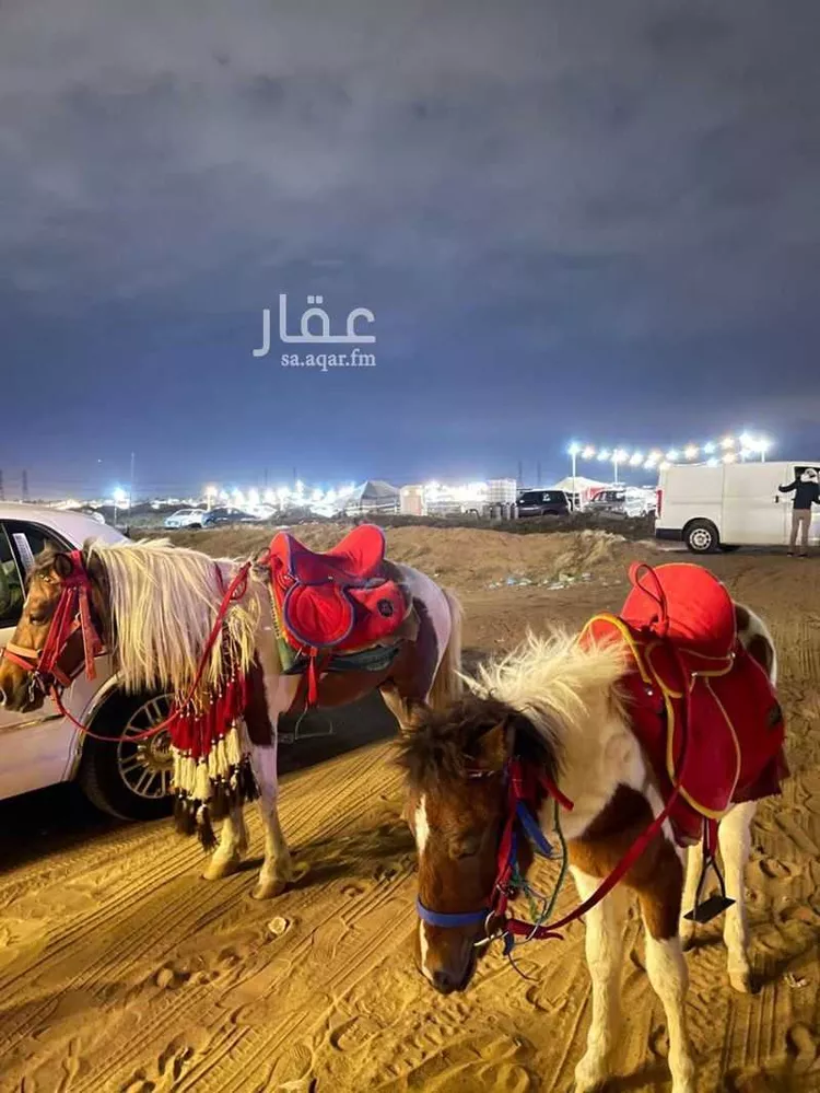 مخيم للحجز في طريق بدون اسم, السنابل, جدة 6