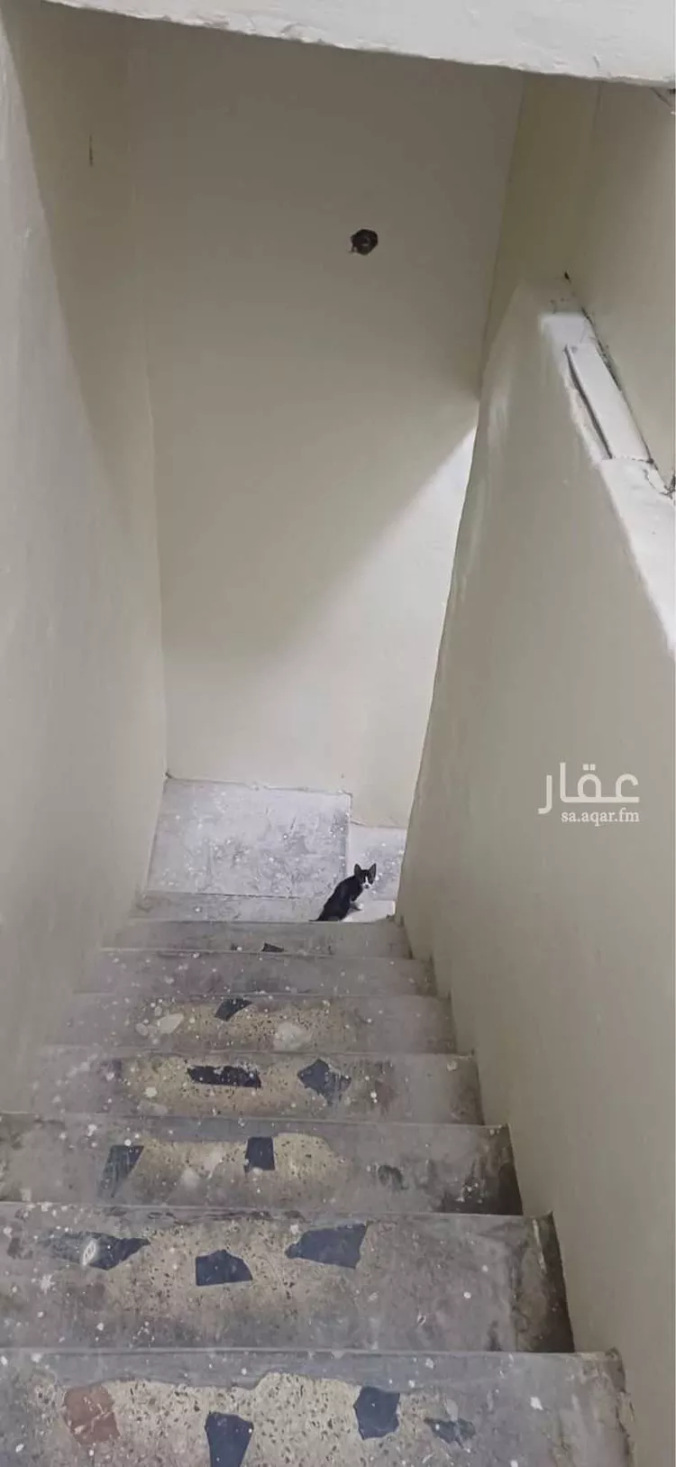 عمارة للإيجار في شارع السابع عشر, حي الثقبة, مدينة الخبر, المنطقة الشرقية صورة 3