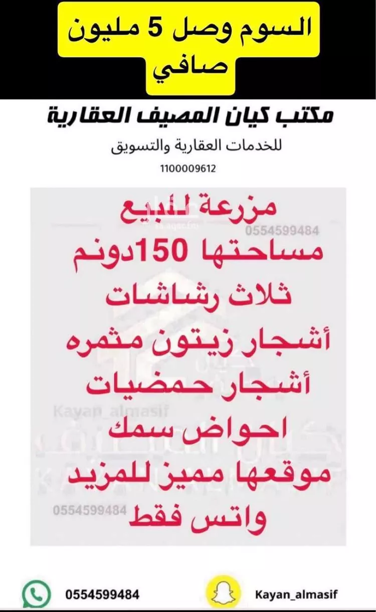مزرعة للبيع في شارع 00000, حي مزارع شمال طريق المدينه(الرابعة), مدينة مزارع شمال طريق المدينه(الرابعة), منطقة تبوك صورة 5