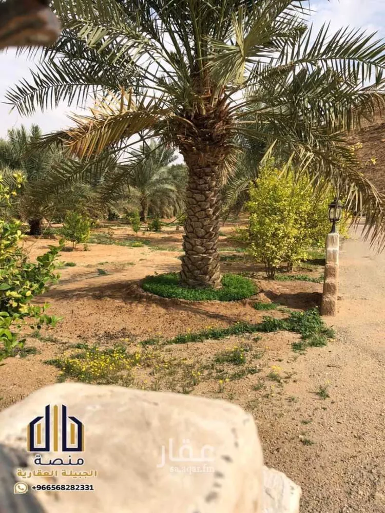 مزرعة للبيع في شارع 000, مدينة الدرعية, منطقة الرياض صورة 5