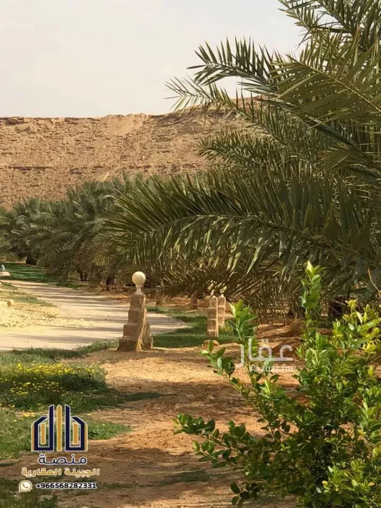 مزرعة للبيع في شارع 000, مدينة الدرعية, منطقة الرياض صورة 3