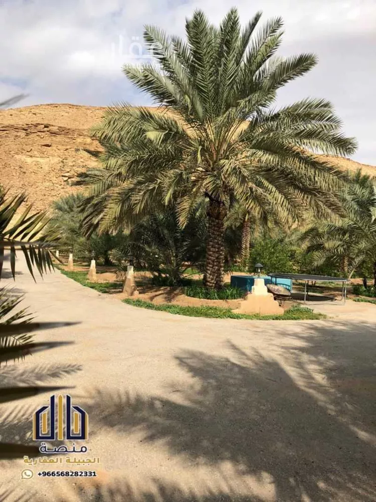 مزرعة للبيع في شارع 000, مدينة الدرعية, منطقة الرياض صورة 2