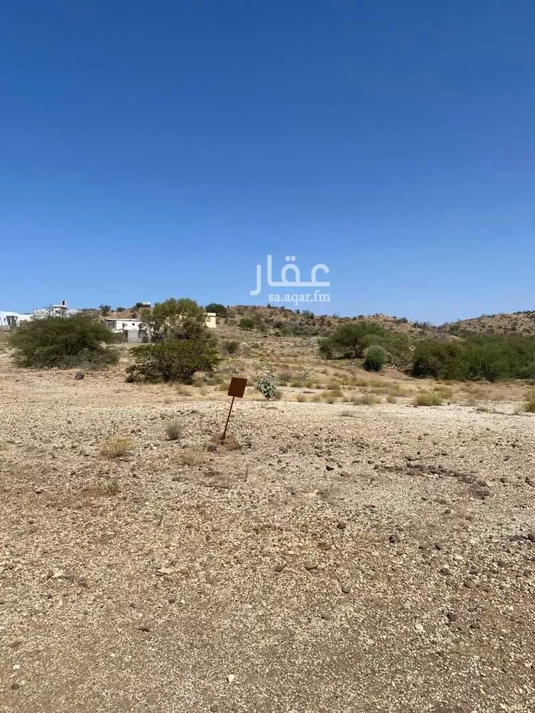أرض للبيع في شارع معاذ بن جبل ، حي الرهوة ، قرية الفرح ، بلجرشي صورة 3