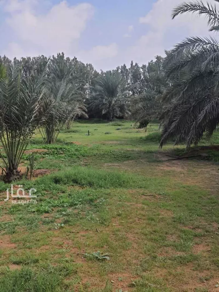 مزرعة للبيع في مدينة ثادق, منطقة الرياض صورة 5