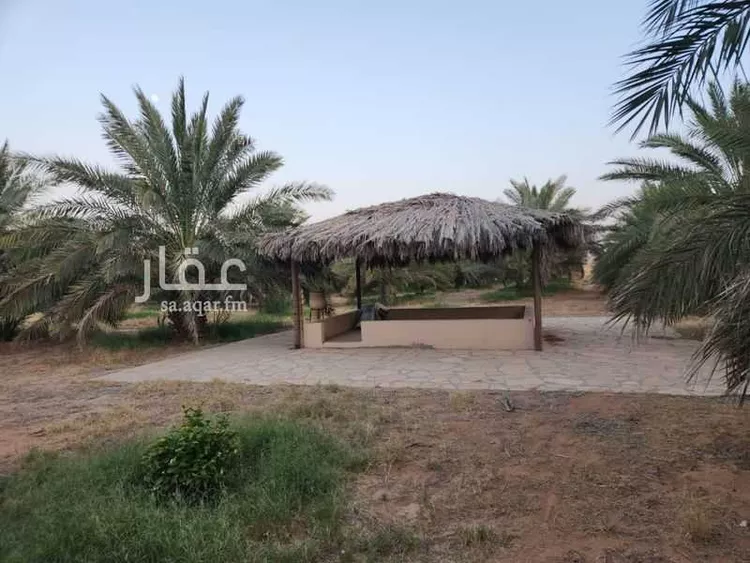 مزرعة للبيع في مدينة ثادق, منطقة الرياض صورة 3