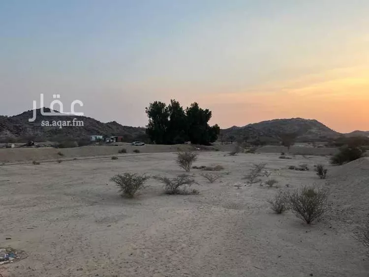 مزرعة للبيع في شارع الشارع العام, حي ام فراعه (حى النزهه), مدينة ام فراعه (حى النزهه), منطقة مكة المكرمة صورة 4