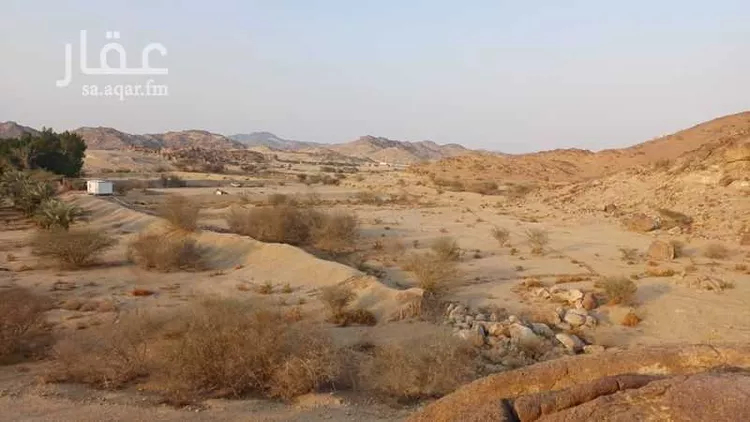 مزرعة للبيع في شارع الشارع العام, حي ام فراعه (حى النزهه), مدينة ام فراعه (حى النزهه), منطقة مكة المكرمة صورة 5