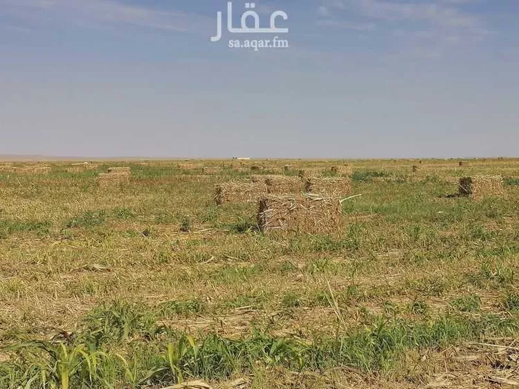 مزرعة للبيع في حي مزارع شمال تيماء (جريش), مدينة مزارع شمال تيماء (جريش), منطقة تبوك