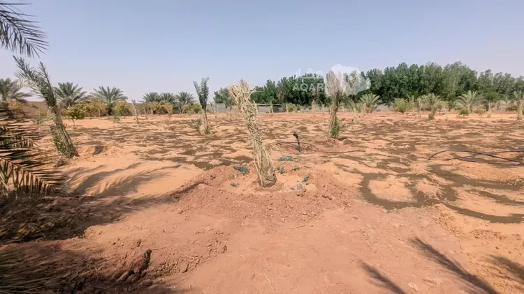 مزرعة للبيع في شارع طريق مكة المكرمة, حي مزارع الجله, مدينة الجلة, منطقة الرياض 2