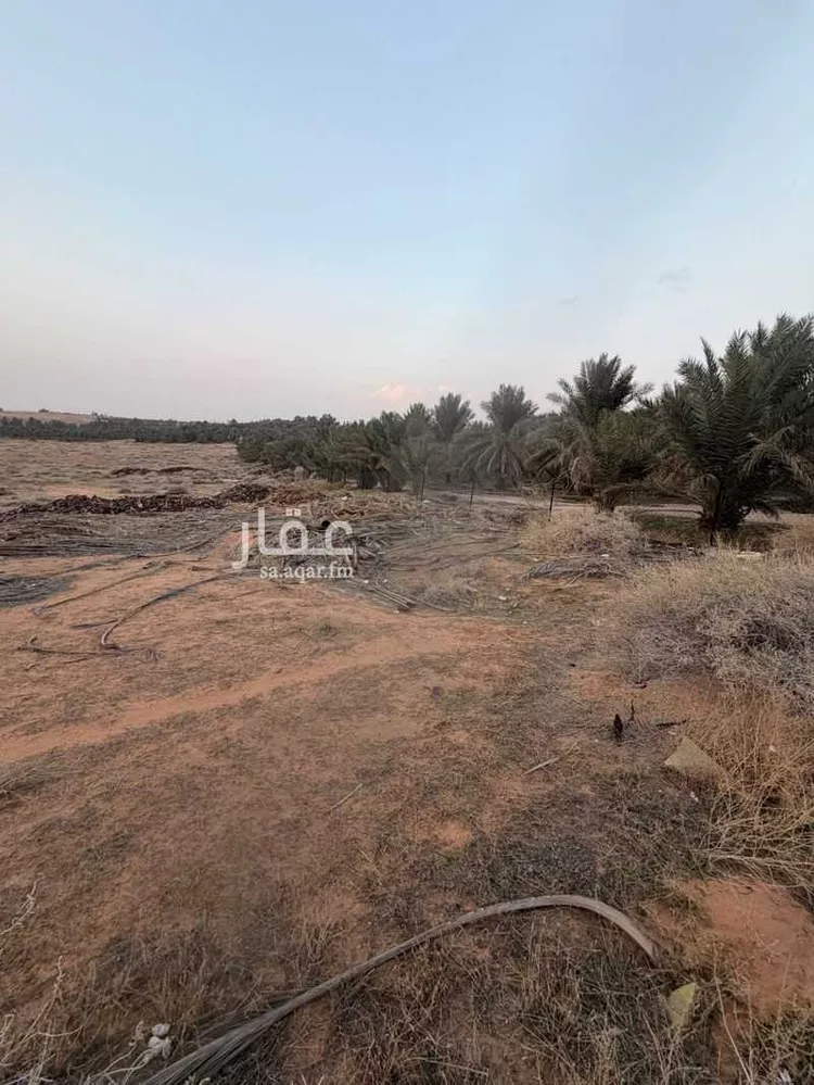 مزرعة للبيع في شارع عبدالله بن العباس, حي ضب روضان, مدينة البصر, منطقة القصيم صورة 3