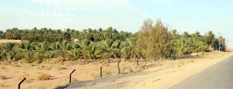 مزرعة للبيع في شارع عبدالله بن العباس, حي ضب روضان, مدينة البصر, منطقة القصيم صورة 2