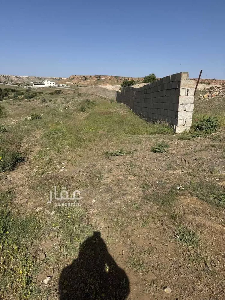 أرض للبيع في شارع المسافره 942 ، العسران ، سراة عبيدة صورة 2