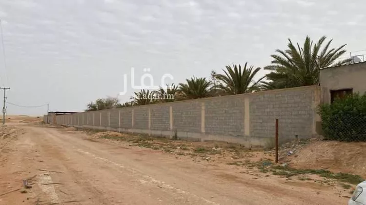 مزرعة للبيع في شارع 7726949, حي أم الشعال, مدينة الرياض, منطقة الرياض