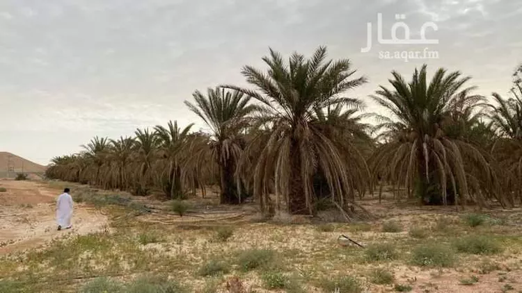 مزرعة للبيع في شارع 7726949, حي أم الشعال, مدينة الرياض, منطقة الرياض صورة 3