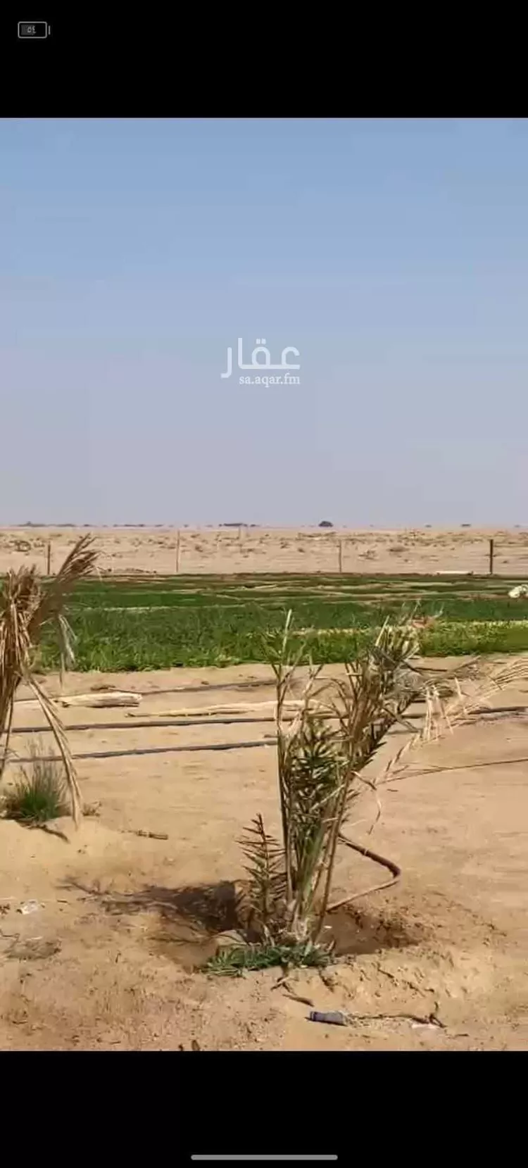 مزرعة للبيع في  طريق الارطاوي الشمالي , كحله , منطقة القصيم صورة 3