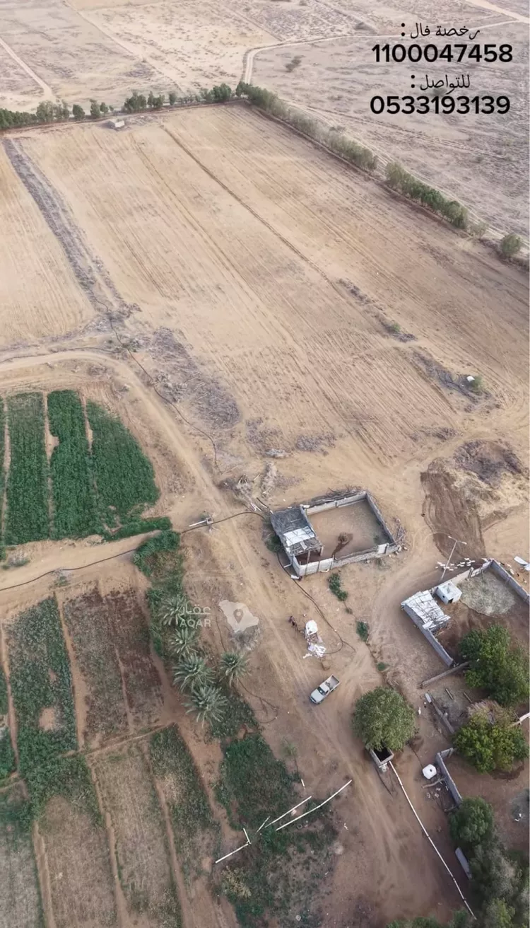 Farm for Sale in Sabya Al Arish صورة 2