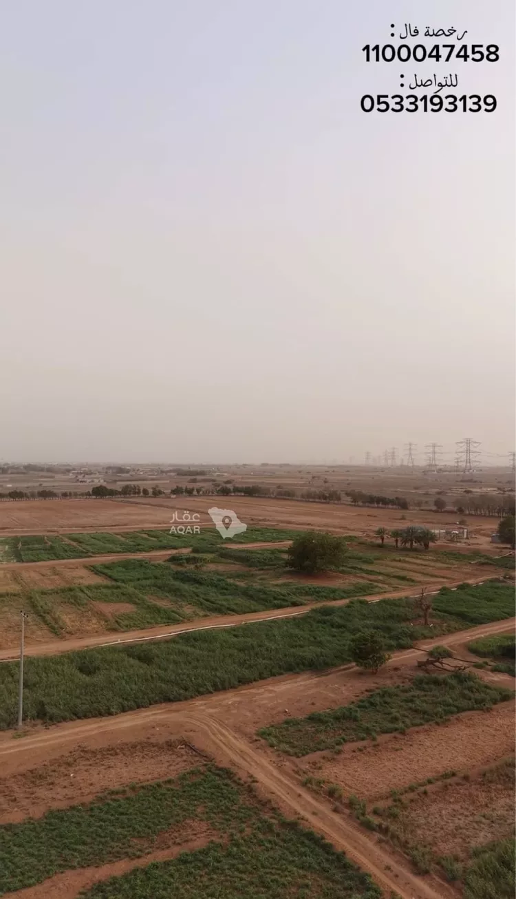 Farm for Sale in Sabya Al Arish