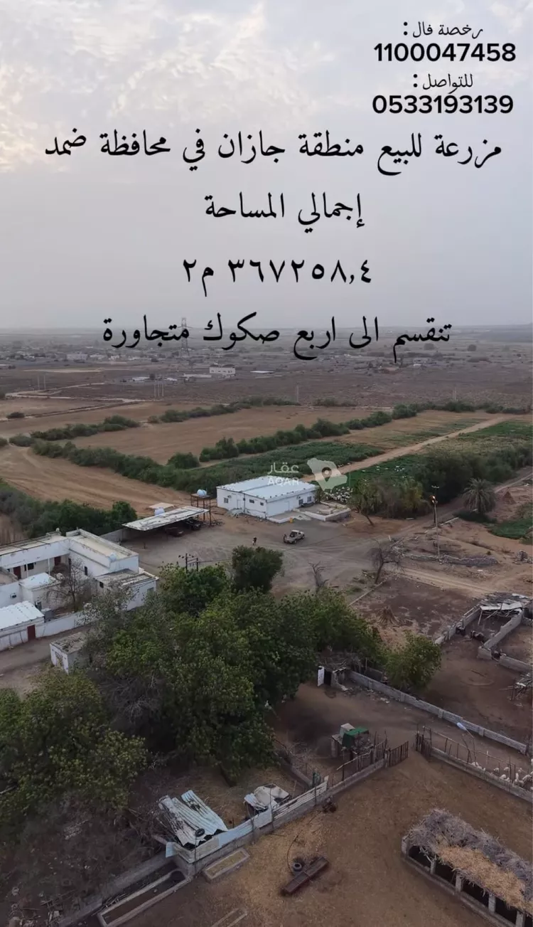 Farm for Sale in Sabya Al Arish صورة 5
