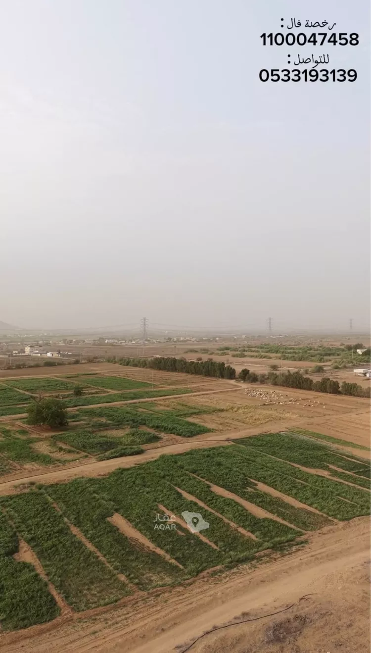 Farm for Sale in Sabya Al Arish صورة 3