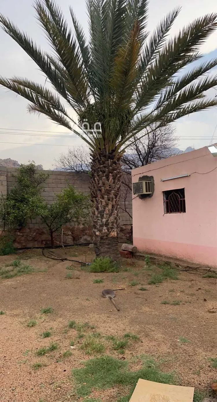 Rest House for Rent in Taif Al Wakf صورة 2