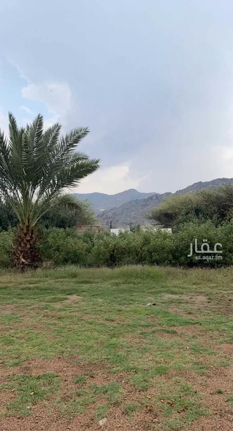 Rest House for Rent in Taif Al Wakf صورة 4