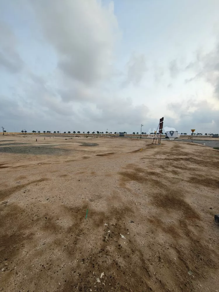 أرض للبيع في شارع البركة , حي الملك عبدالله الاقتصادية, مدينة الملك عبدالله الاقتصادية, منطقة مكة المكرمة 6