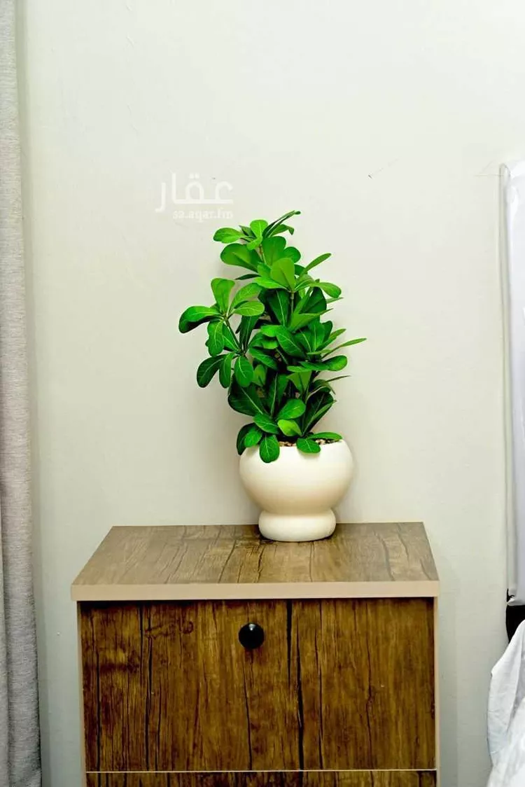 Furnished Apartment for Booking in Riyadh Qurtubah 9