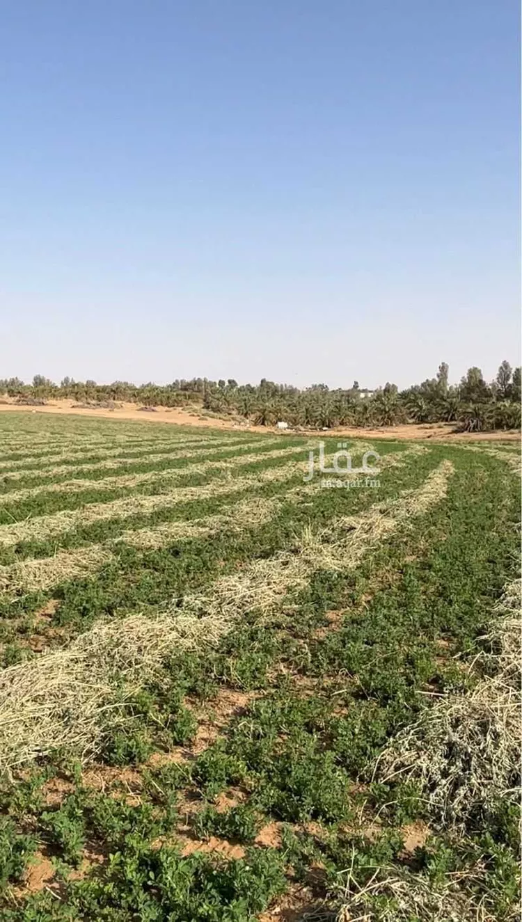 أرض للبيع في شارع العريفيه 1551, مدينة بريدة, منطقة القصيم