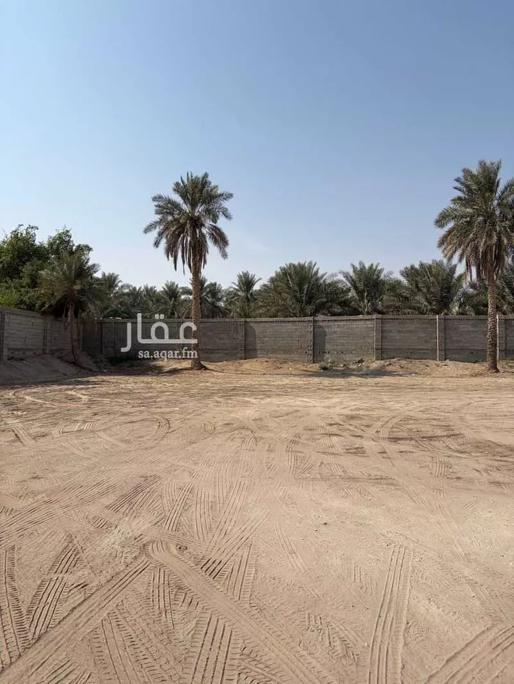 أرض للإيجار في شارع شارع أمة الله بنت حمزة بن عبد المطلب, مدينة الاحساء, المنطقة الشرقية صورة 2