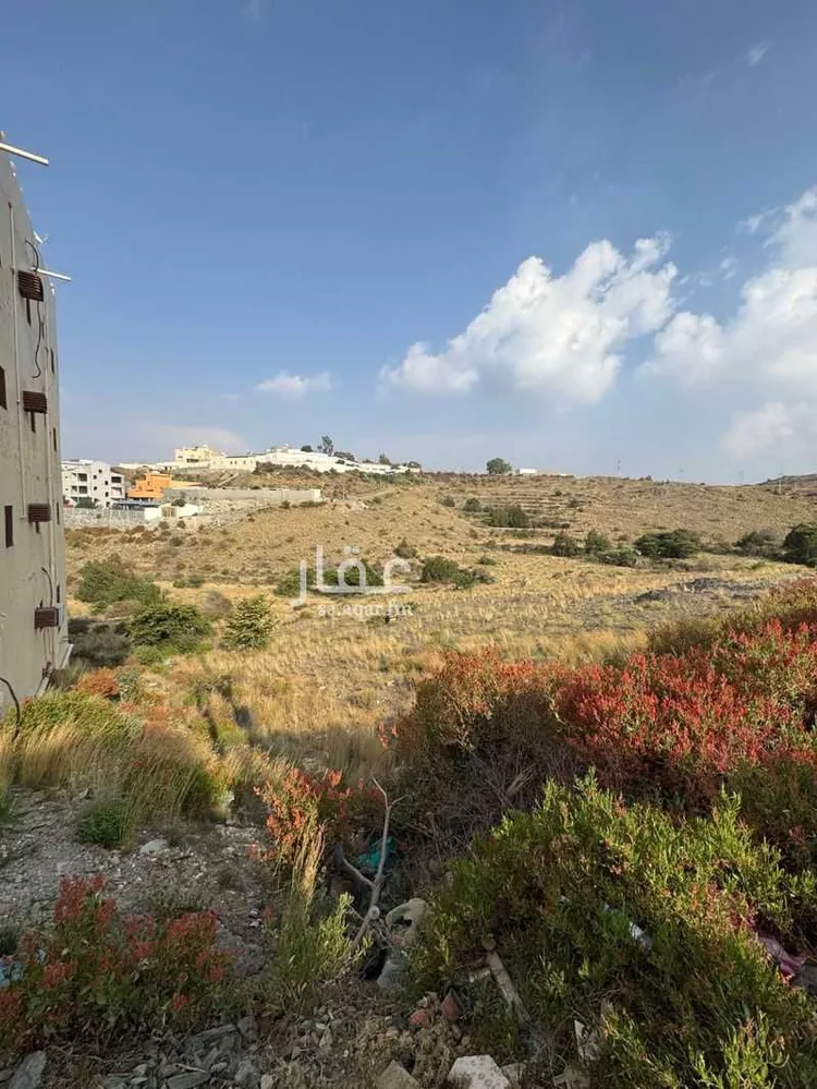Land for Sale in Al Bahah Al Dhafyr صورة 5