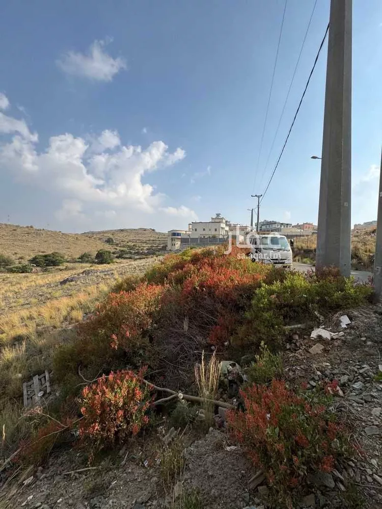 Land for Sale in Al Bahah Al Dhafyr صورة 3
