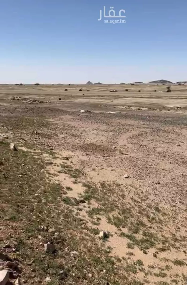 مزرعة للبيع في شارع عبدالله بن العاصى, حي الصناعية, مدينة الدوادمي - البجاديه, منطقة الرياض صورة 4