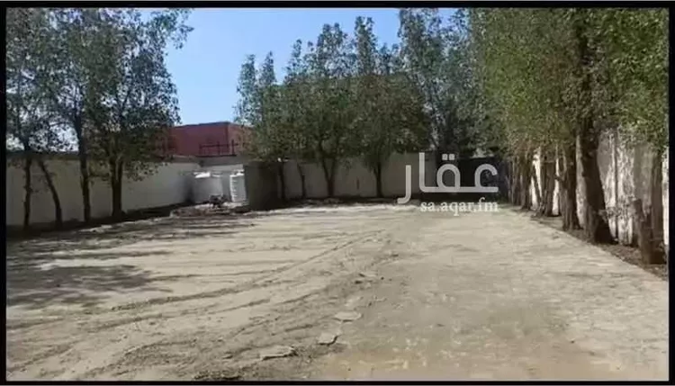 Rest House for Rent in Jeddah Bahrah 6