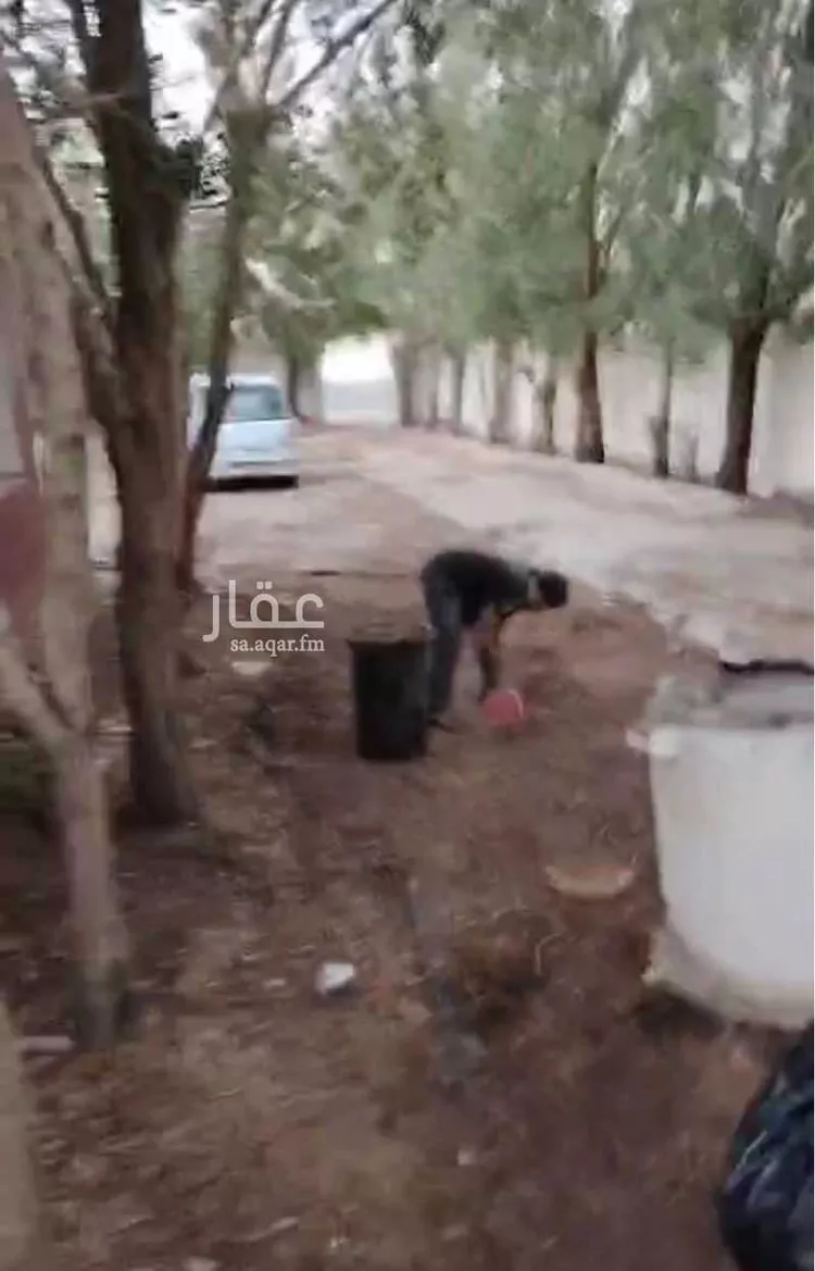 Rest House for Rent in Jeddah Bahrah صورة 2