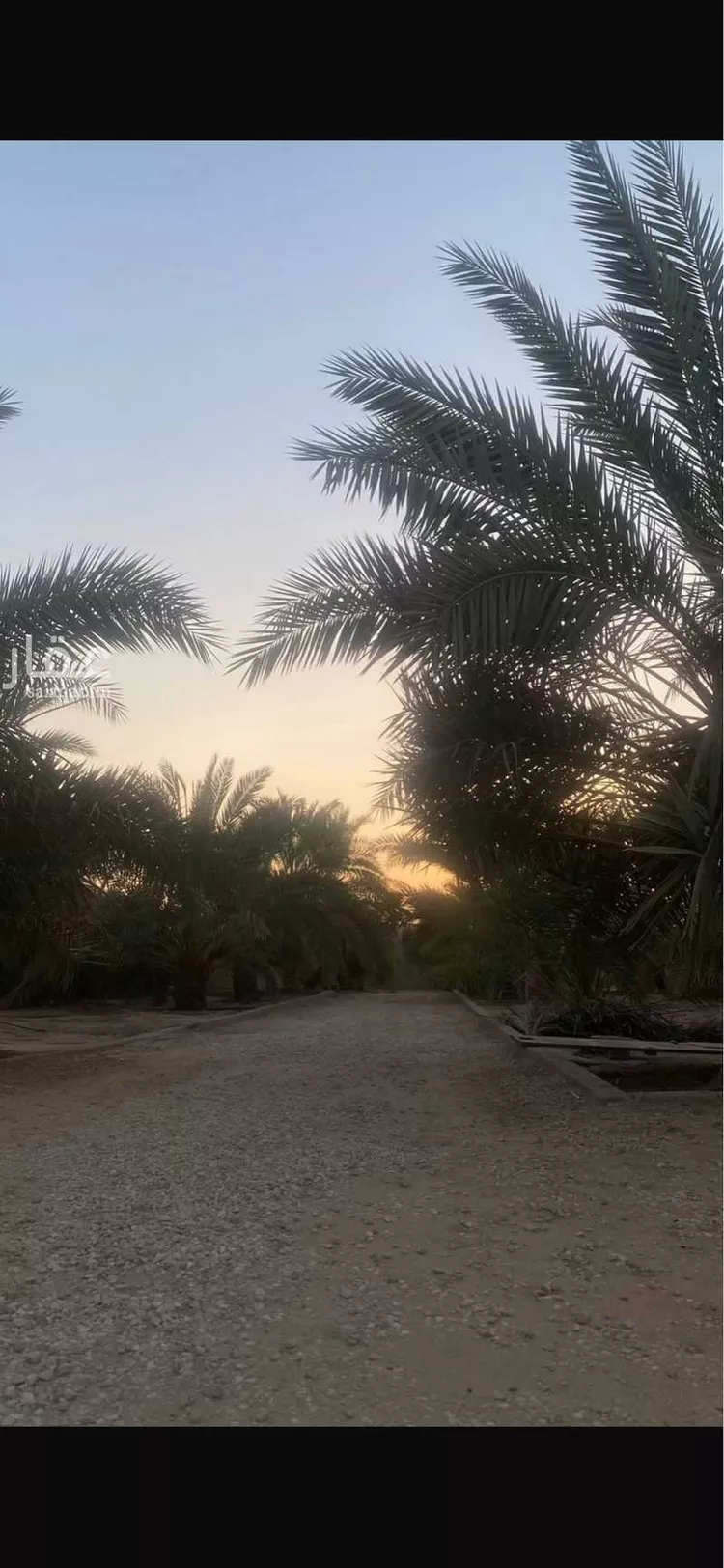 مزرعة للبيع في شارع عمر بن ذر, حي المصيف, مدينة عنيزة, منطقة القصيم 6