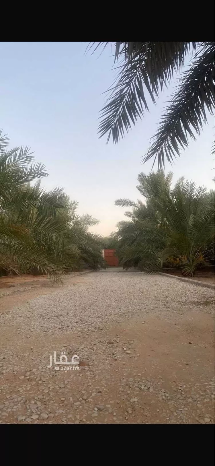 مزرعة للبيع في شارع عمر بن ذر, حي المصيف, مدينة عنيزة, منطقة القصيم صورة 4