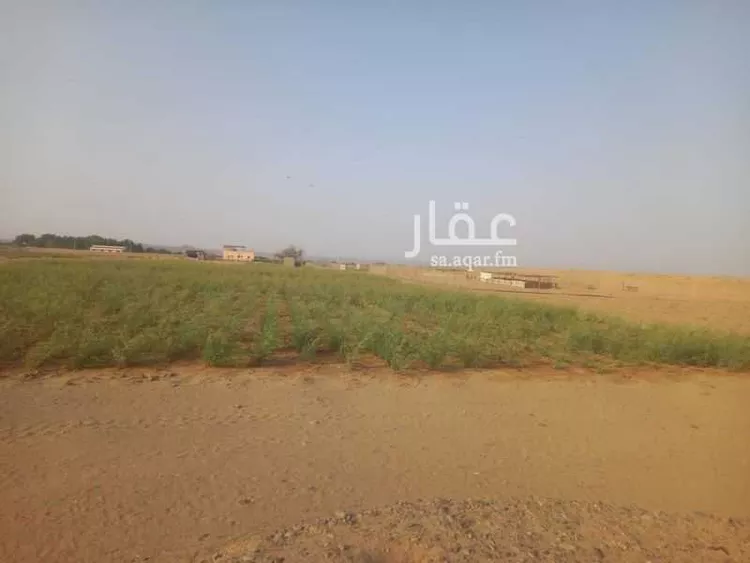 مزرعة للبيع في شارع واقد بن عبدالله ، خليص ، خليص صورة 4