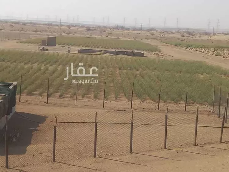 مزرعة للبيع في شارع واقد بن عبدالله ، خليص ، خليص