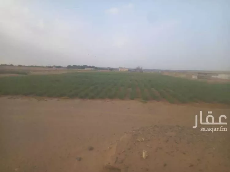 مزرعة للبيع في شارع واقد بن عبدالله ، خليص ، خليص صورة 3