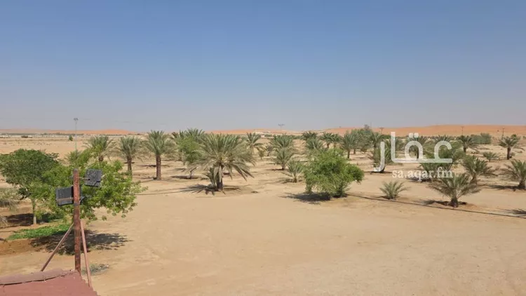 مزرعة للبيع في حي الساحبه ومزارعها, مدينة الساحبه ومزارعها, منطقة الرياض صورة 2