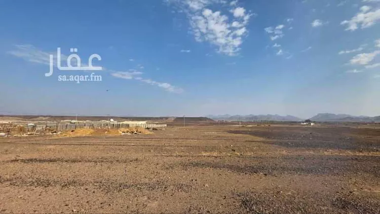 أرض للبيع في حي القبيبة, مدينة المدينة المنورة, منطقة المدينة المنورة صورة 3