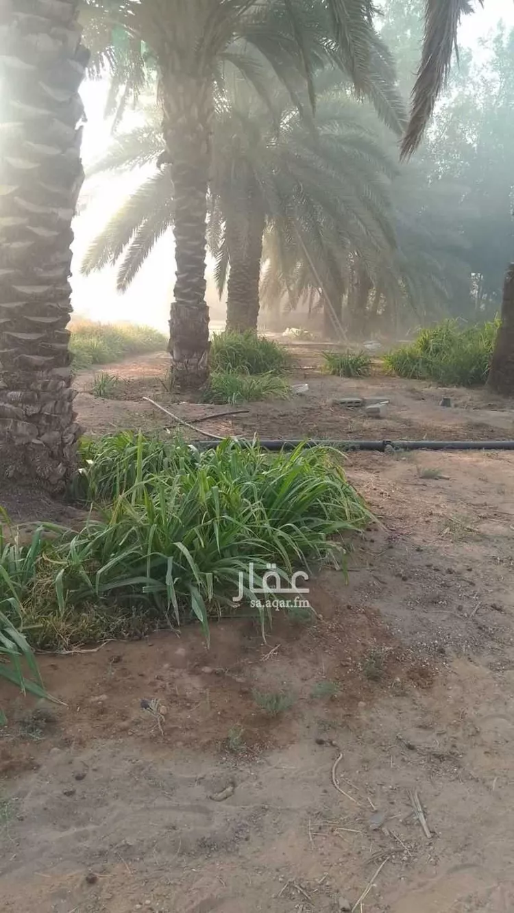 مزرعة للبيع في شارع جو 488, مدينة ضرما, منطقة الرياض صورة 2
