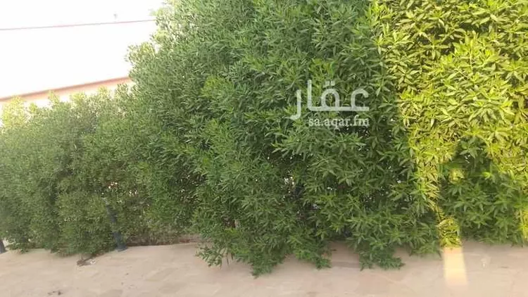 مزرعة للبيع في شارع جو 488, مدينة ضرما, منطقة الرياض صورة 3