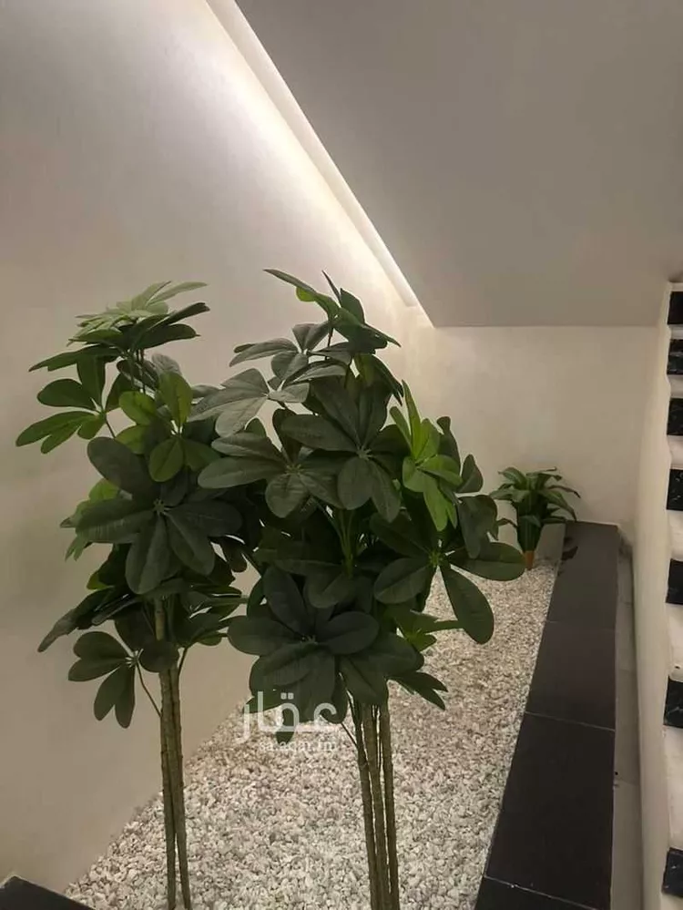 شقة للإيجار في شارع محمد سعيد ناصيف فرعي, حي النزهة, مدينة جدة, منطقة مكة المكرمة صورة 4