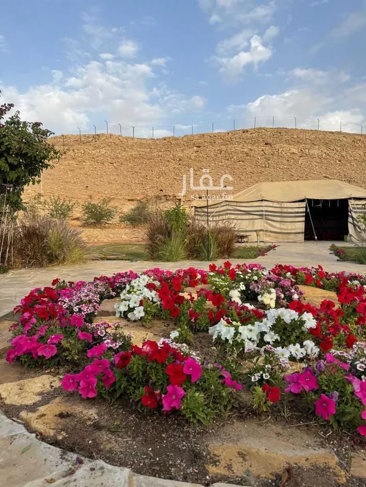 شاليه واستراحة للحجز في شارع قريه ديراب 1459 ، ضرما ، ضرما صورة 4