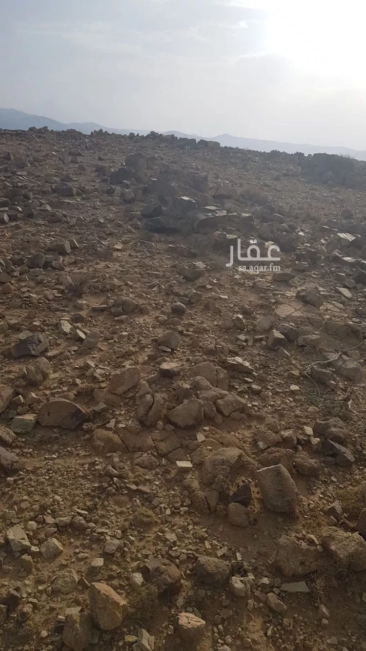 أرض للبيع في شارع الزبير بن العوام , حي الريم, مدينة جناب ال داهش, منطقة الباحة