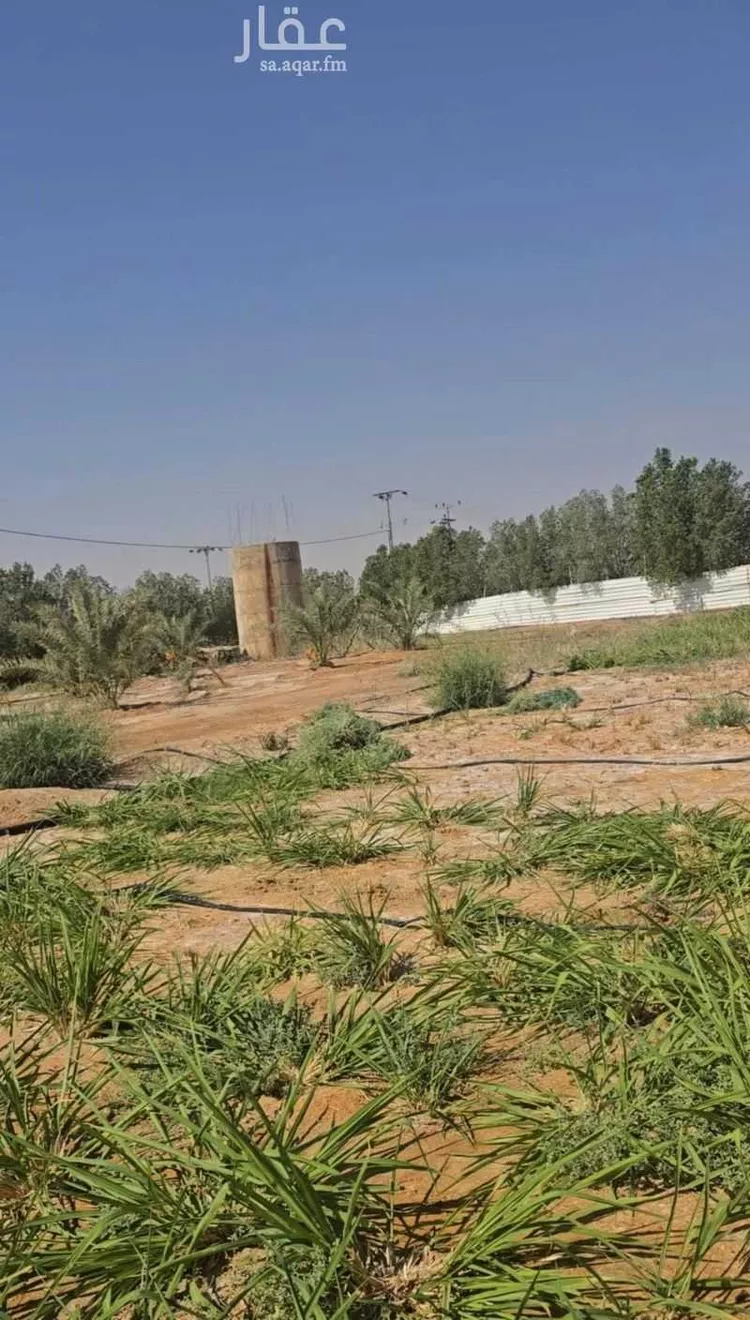 مزرعة للإيجار في شارع يحيي بن علي, حي الريحان, مدينة الخرج, منطقة الرياض 5