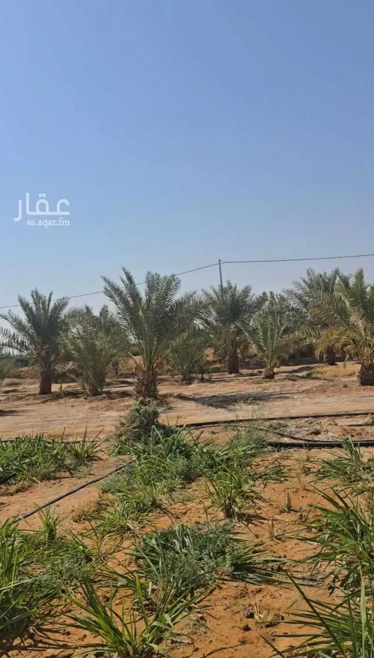 مزرعة للإيجار في شارع يحيي بن علي, حي الريحان, مدينة الخرج, منطقة الرياض 4