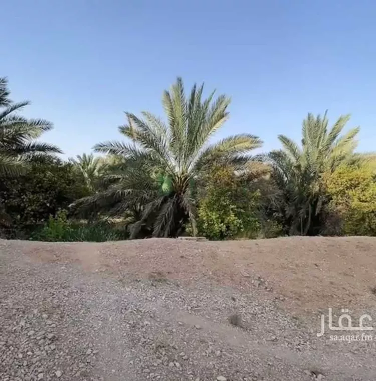 مزرعة للبيع في حي مزارع اوراط, مدينة مزارع اوراط, منطقة الرياض صورة 3