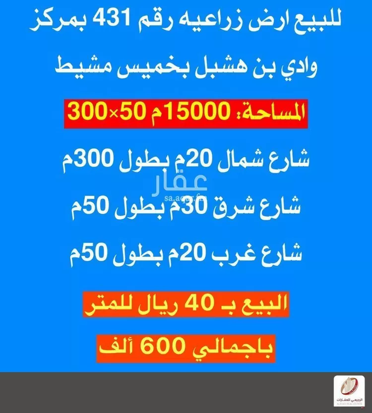 أرض للبيع في شارع 0000, مدينة الطلحه, منطقة عسير صورة 2